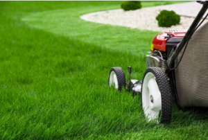 affordable grass cutting Adelaide