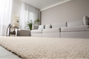carpet cleaning Adelaide prices
