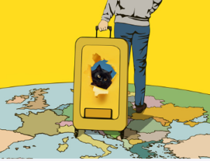 multilingual migration agents Adelaide