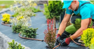 garden services