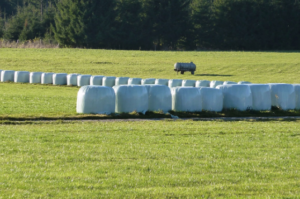 silage covers