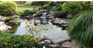 NomadicHomeGarden landscapers