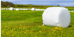 UV-protected silage plastic
