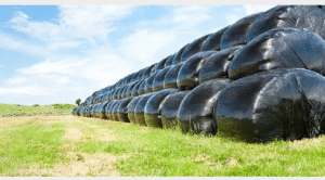 silage plastic