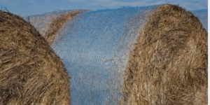 multi-purpose net replacement film