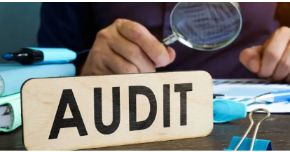 ndis audit support