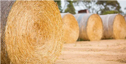 baling twine