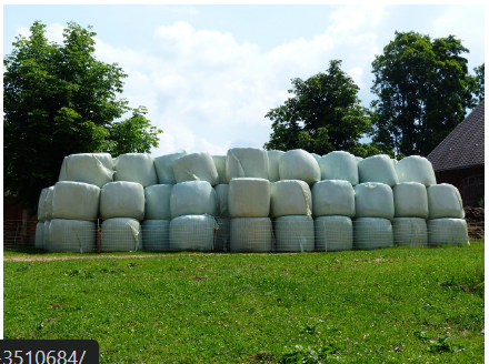 silage film