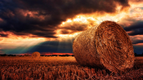 baler twine